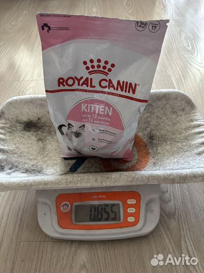 Royal Canin Kitten для котят от 4 месяцев