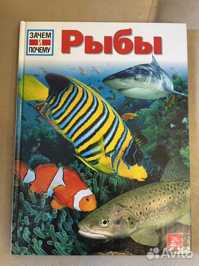 Детская энциклопедия