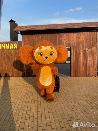 Чебурашка/Аниматоры/Чебурашка поздравление