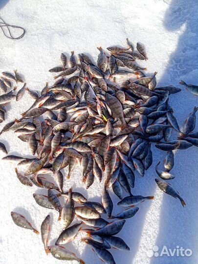 Балансиры под рапала