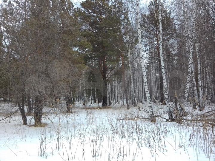 Участок 1,2 га (СНТ, ДНП)