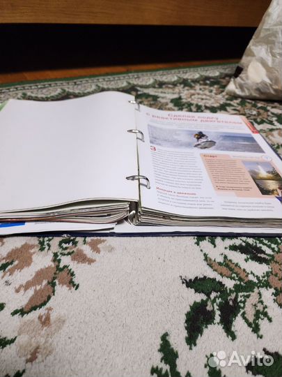 Журналы Галилео Наука опытным путем журналы