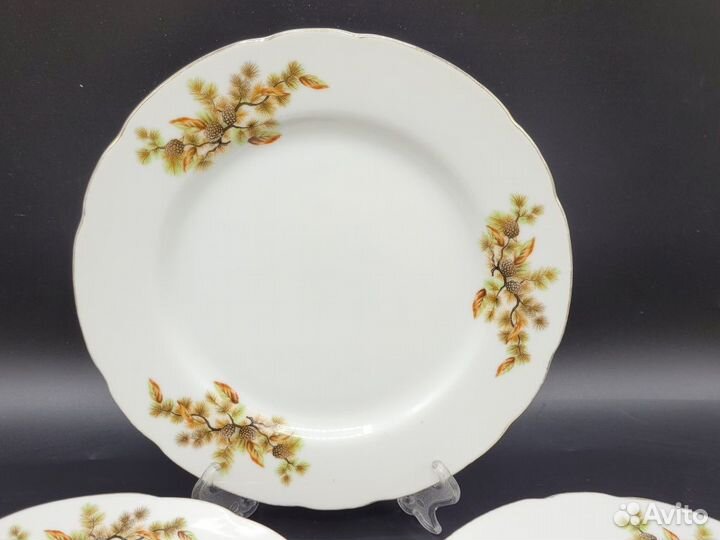 Тарелка плоская 20,5 см фарфор Шишки Tono / Япония