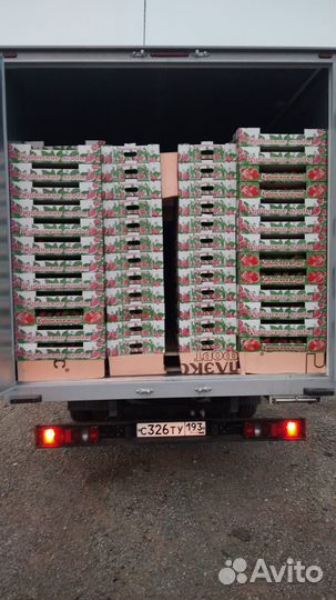 Грузоперевозки до 7т