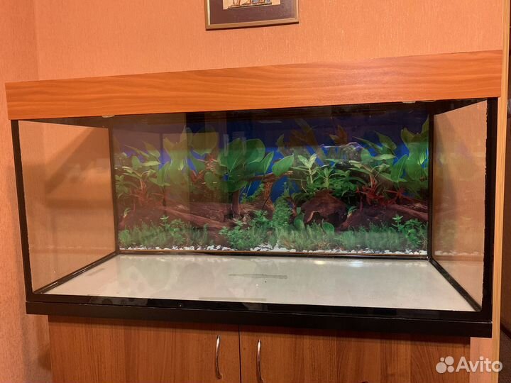 Аквариум для рыбок на 250 литров
