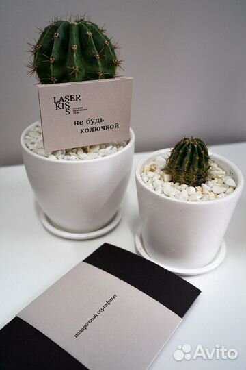 Лазерная эпиляция: декольте