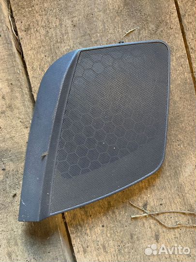 Сетка динамика передняя правая