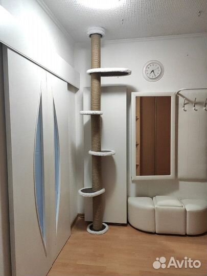 Когтеточка от пола до потолка