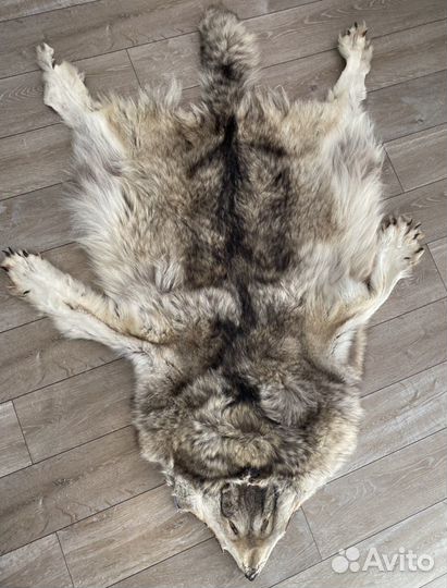 Шкура волка