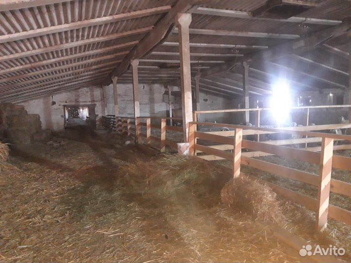 Продаётся ферма кашара крс мрс птица