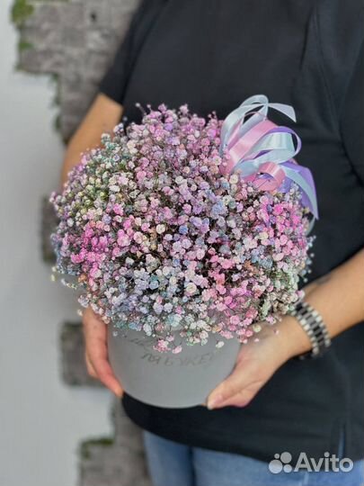 Гипсофила в коробке