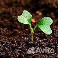 Земля плодородная,торф,навоз