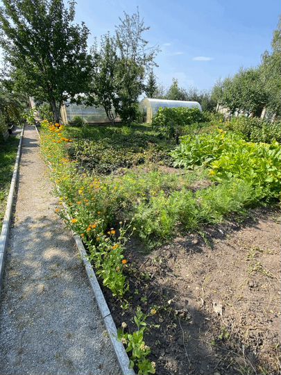 Дача 24 м² на участке 7 сот.