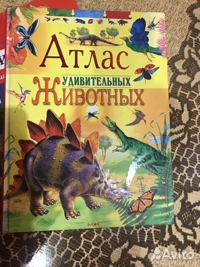 Энциклопедия для детей