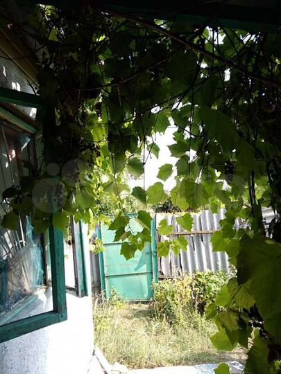 Дача 42 м² на участке 10 сот.