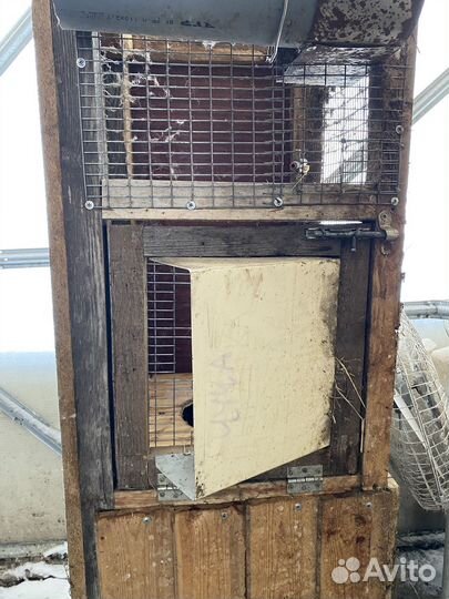 Клетки для кроликов, птицы