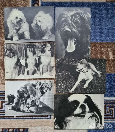 Советские открытки