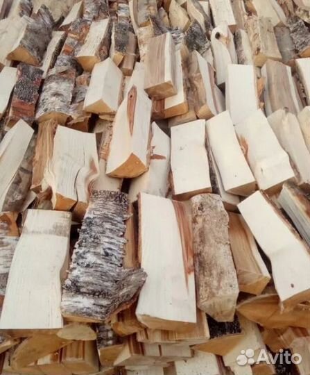 Дрова береза