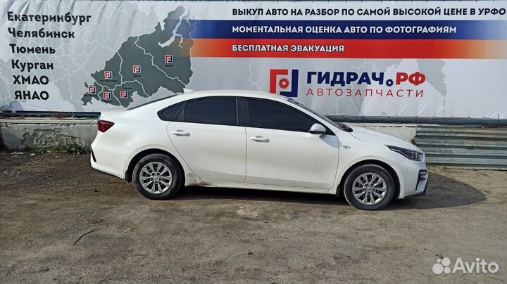 Проводка подсветки номера Kia Cerato 4