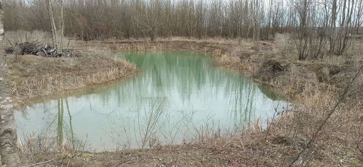 Участок 100 сот. (СНТ, ДНП)