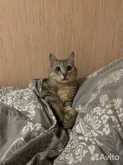 12 лет и стал не нужен