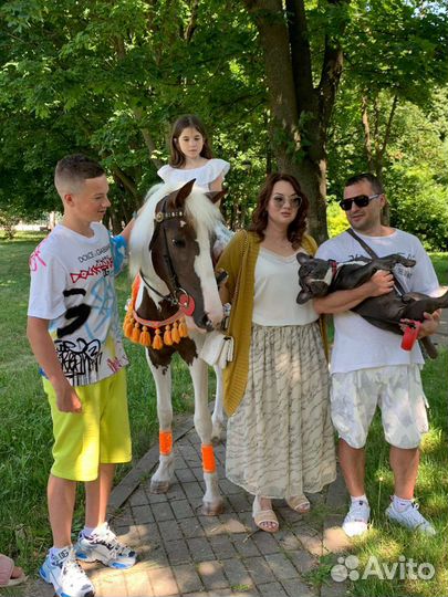 Катание детишек