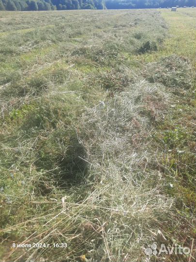 Сено Луговое в рулонах