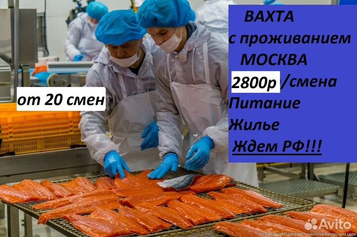 Упаковщики деликатесов/рф/вахта/20 смен