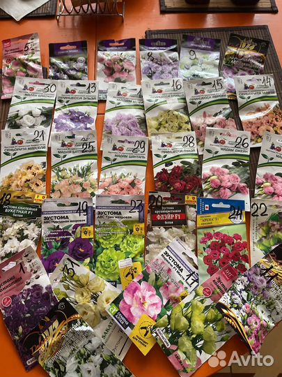 Рассада Эустомы на весну 2024 г