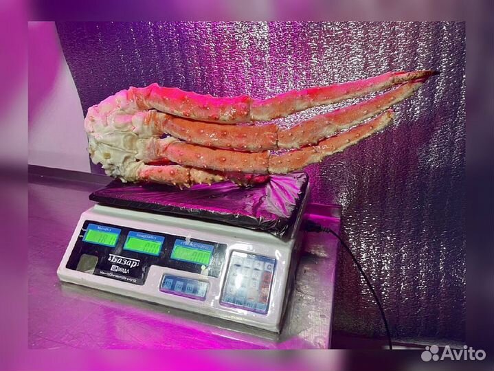 Краб, Креветка, Гребешок