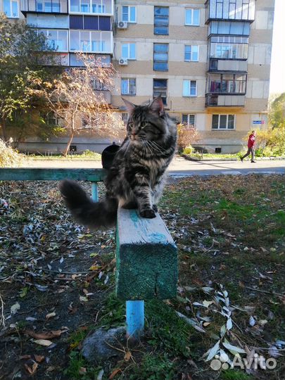 Котик для вязки