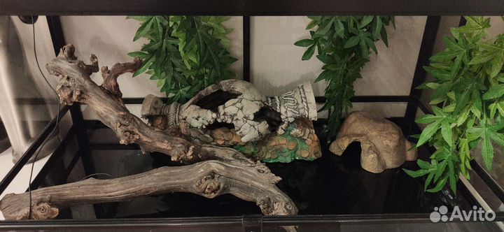 Террариум для рептилий Repti zoo и декор