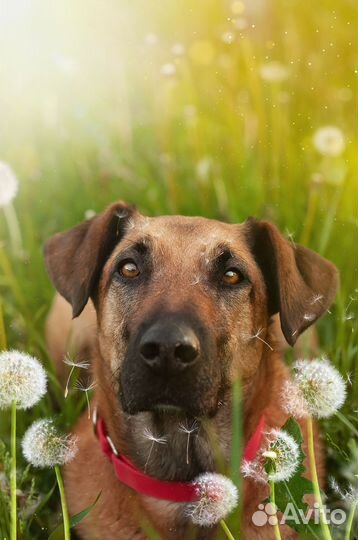 Фотограф-анималист