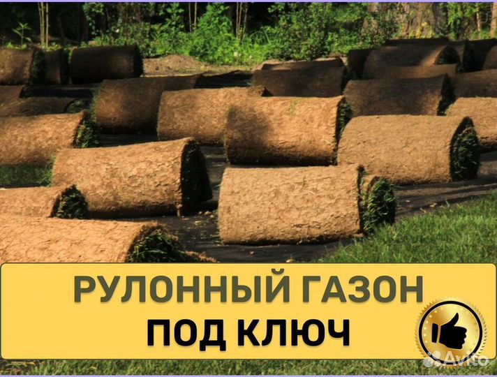 Рулонный газон Стандарт доставка укладка