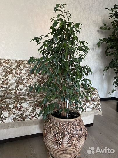 Керамический эксклюзивный горшок