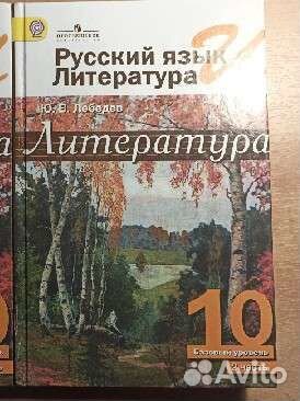 Учебник литература 10 класс Ю.В.Лебедев