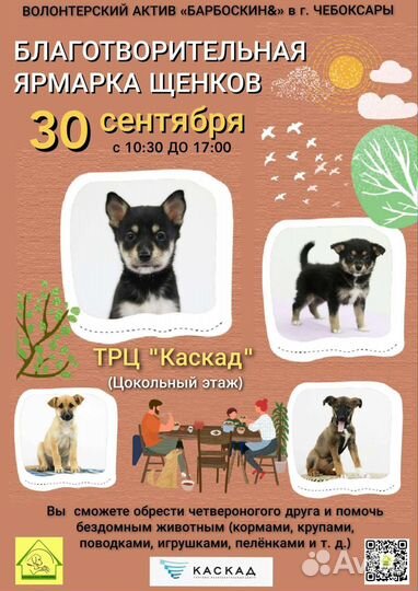 Ярмарка щенков и собак