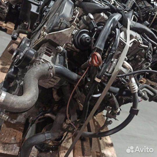 Контрактный двс caga 2.0