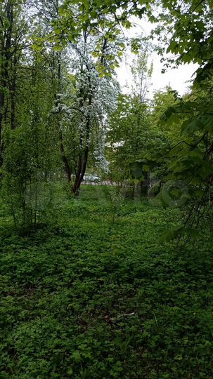Участок 22 сот. (СНТ, ДНП)