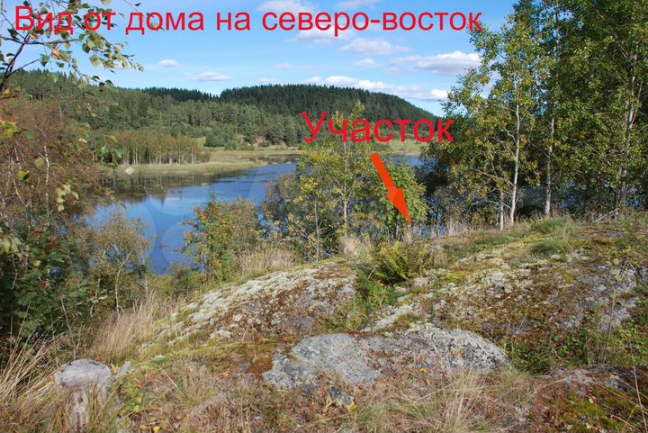 Участок 60 сот. (СНТ, ДНП)