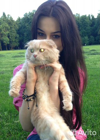 Передержка/догситтер собак, кошек и грызунов