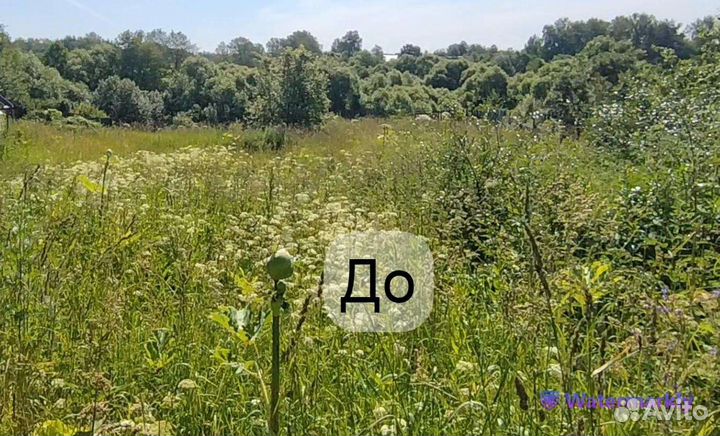 Покос травы