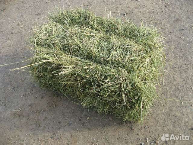 Для животных