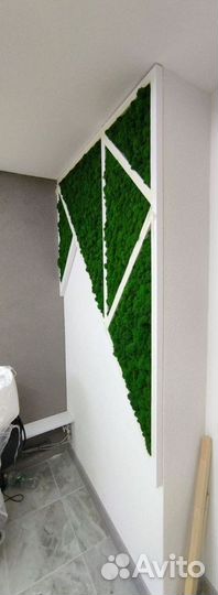 Панно из мха стабилизированного