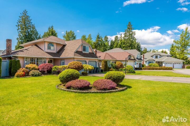 Газонная трава в рулонах