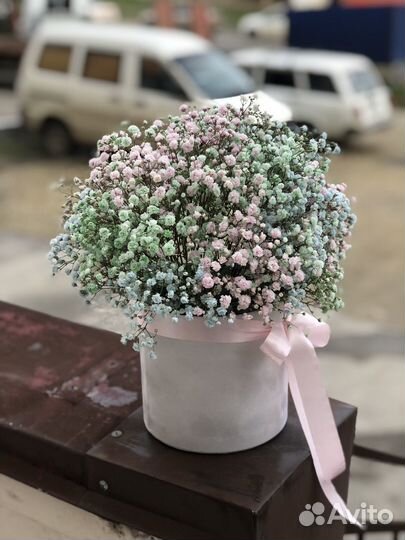 Радужная гипсофила, цветы, букет