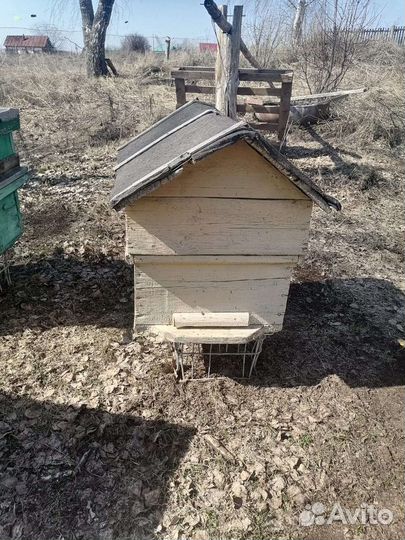 Продам пчелосемьи с ульями,рамками и с магазинами