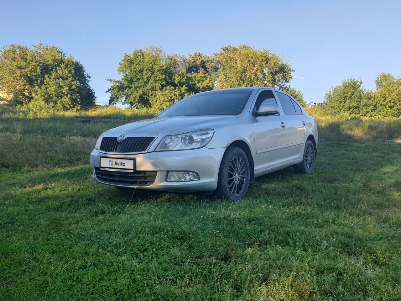 Skoda Octavia: фото владельца