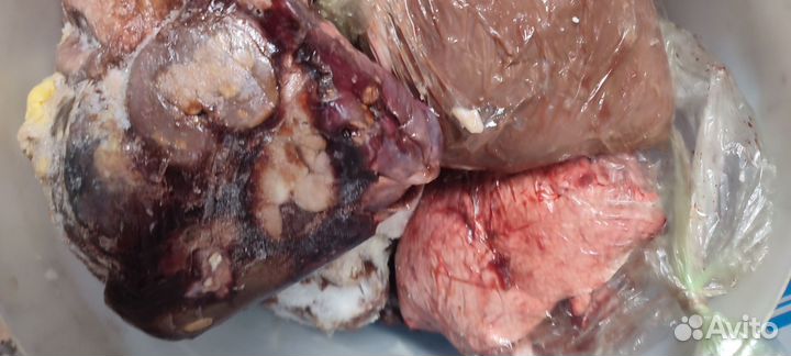 Мясо для собак и мясо вяленое для собак