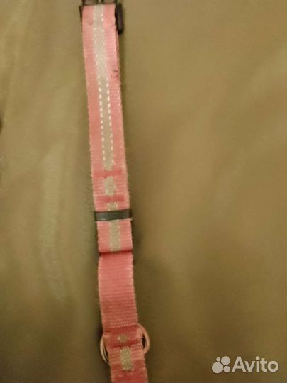 Воротник для собак, аксессуары